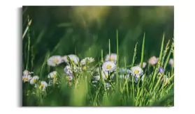 Textile Fotoleinwand drucken