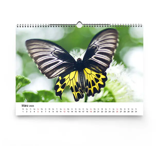 Kalender aus den eigenen Fotos gestalten