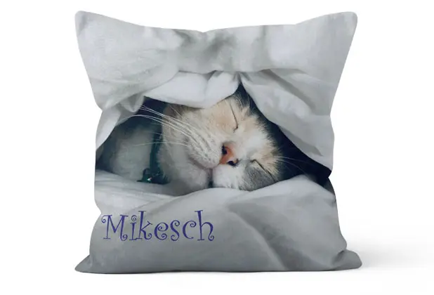 Wie wäre es mit einem Fotokissen Ihres pelzigen Lieblings Kuschelkissen mit süßen Haustiermotiven
