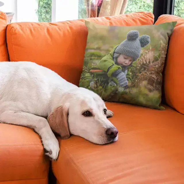 Alle lieben Fleecekissen!