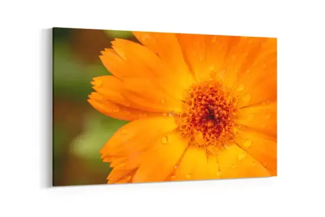 Textile Leinwand für Ihr Wohnzimmer
