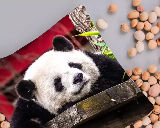 Körnerkissen mit individuellen Motiven