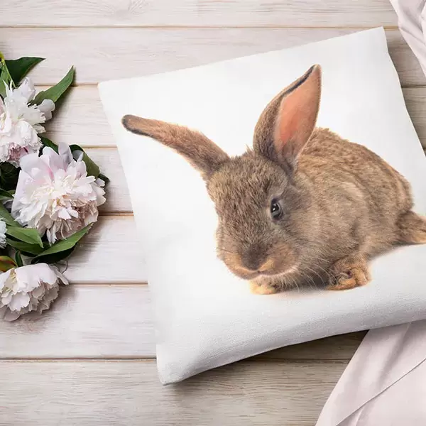 Fotokissen mit Hasenmotiv