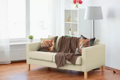 Die Lieblinge als Stars auf dem Sofa