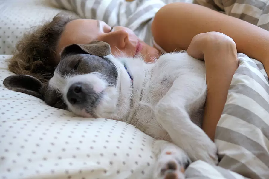 Gemütlich im Bett mit neuer Fotobettwäsche