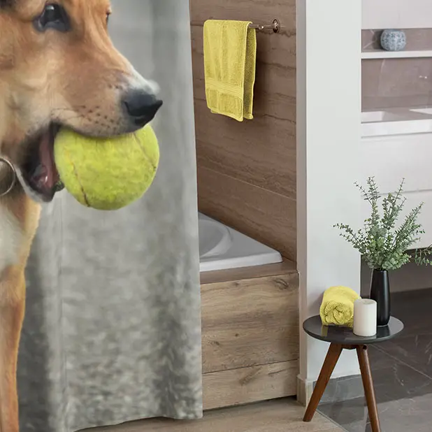 Foto-Duschvorhang im Badezimmer