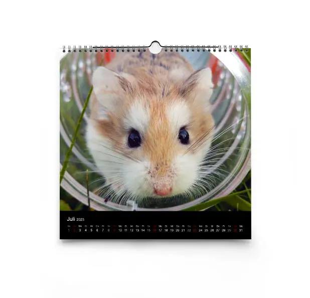 Die Kalender sind in Hoch-, Quer- und Sonderformaten erhältlich.