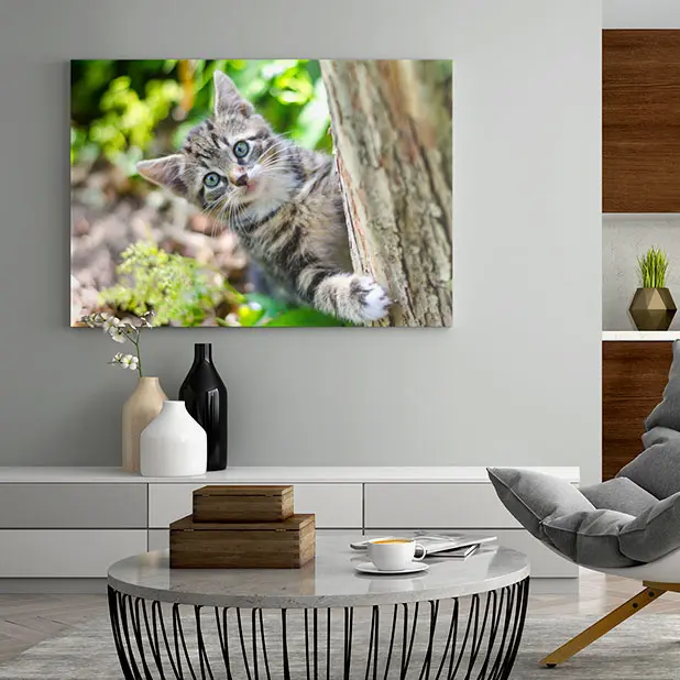 Moderne Optik und brillante Farben mit der HD-Leinwand.