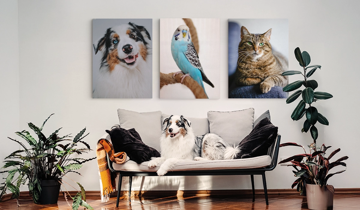 Die schönsten Haustierfotos auf Leinwand fürs Wohnzimmer