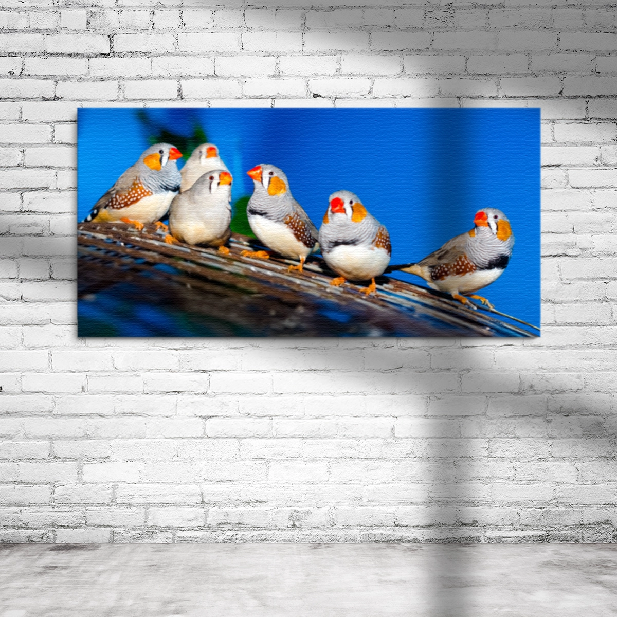 Panoramaleinwand für viele Haustiere