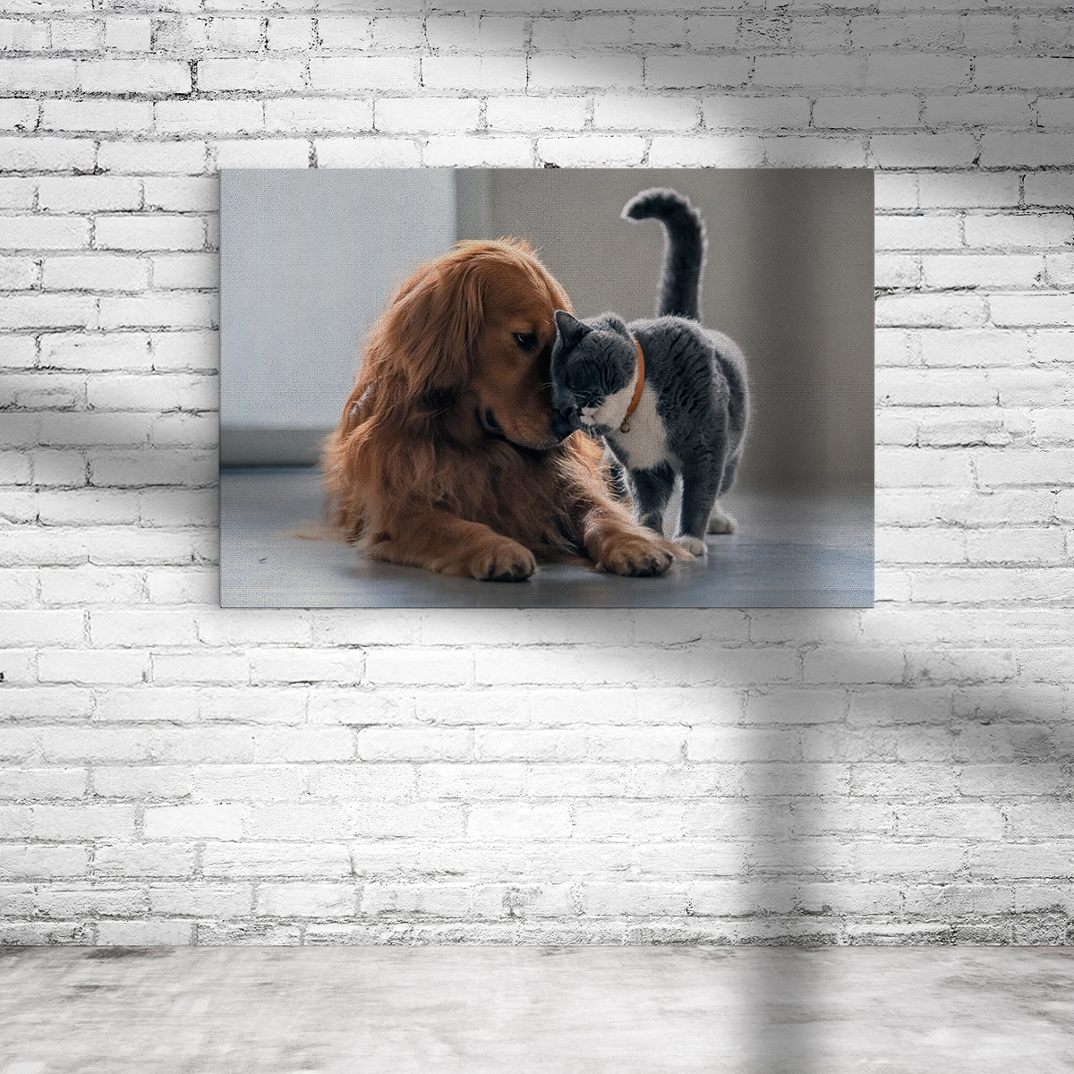 Leinwand Querformat mit Katze und Hund
