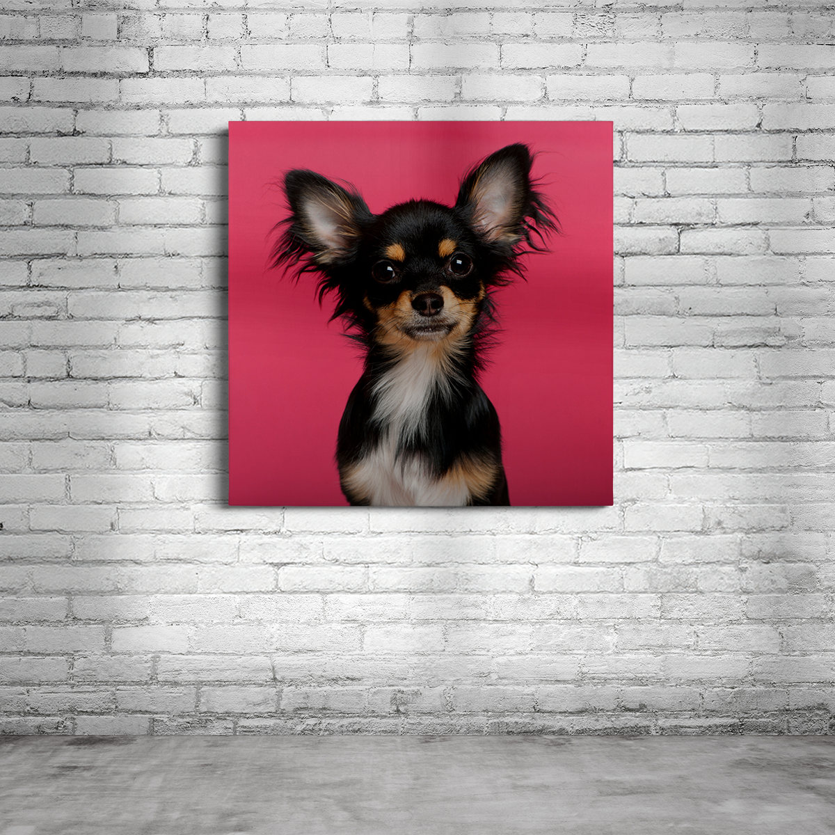 Leinwand Quadratisch für Hundefotos