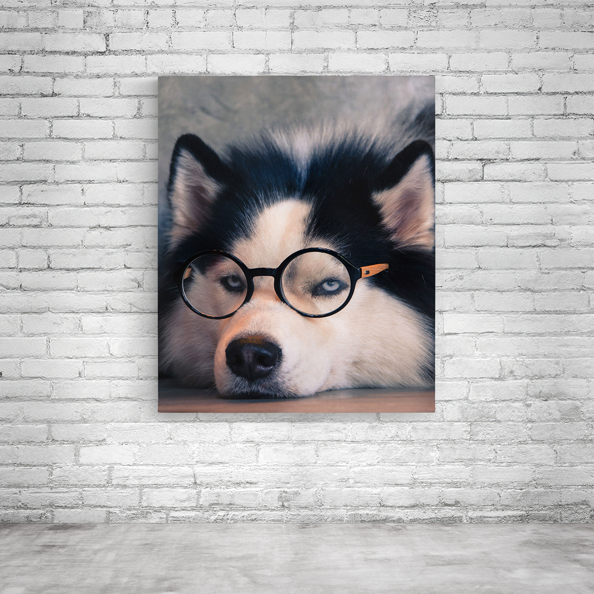 Ihr schönstes Hundefoto auf Leinwand