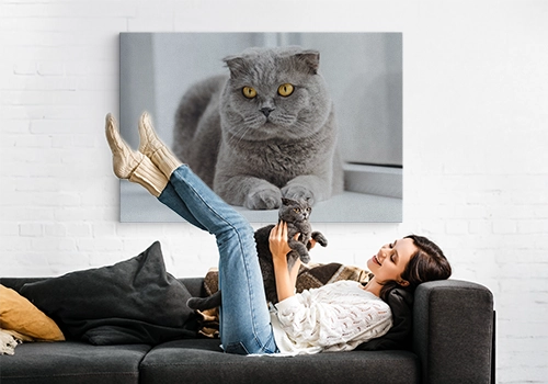 Katze kuschelt mit Frau auf Sofa hinter einem Leinwand-Porträt