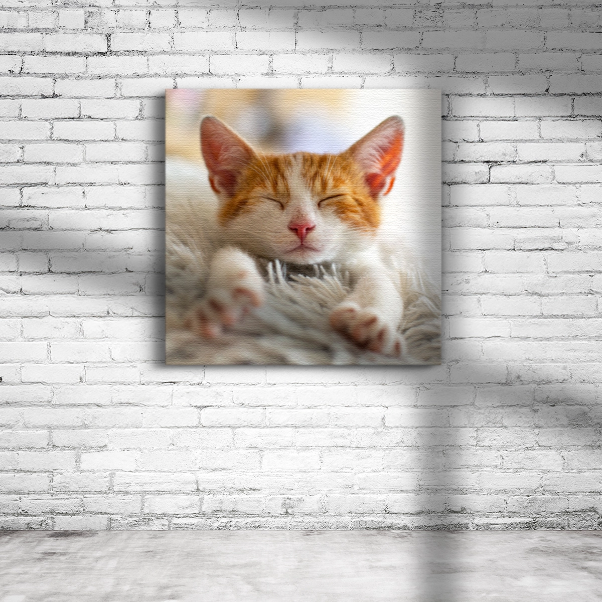 Quadratische Leinwand aus Canvas mit Fotodruck
