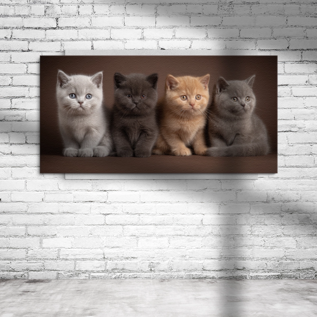 Panoramaleinwand mit Katzenfoto