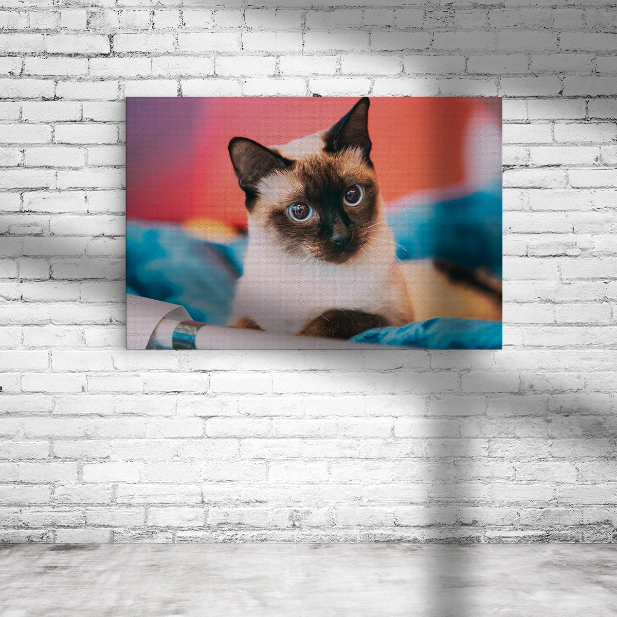 Katzenleinwand im Querformat