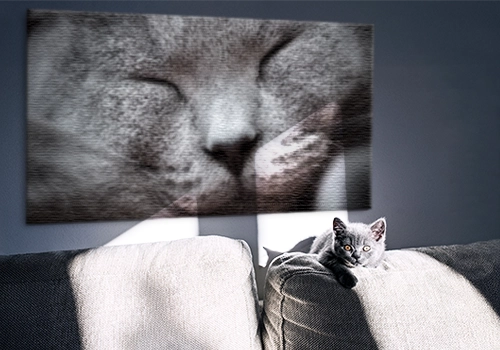 Porträt Ihrer Katze als Leinwand im Wohnzimmer