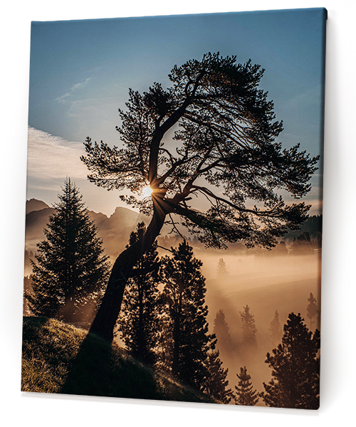 Naturfoto als Wandkunstwerk auf Leinwand