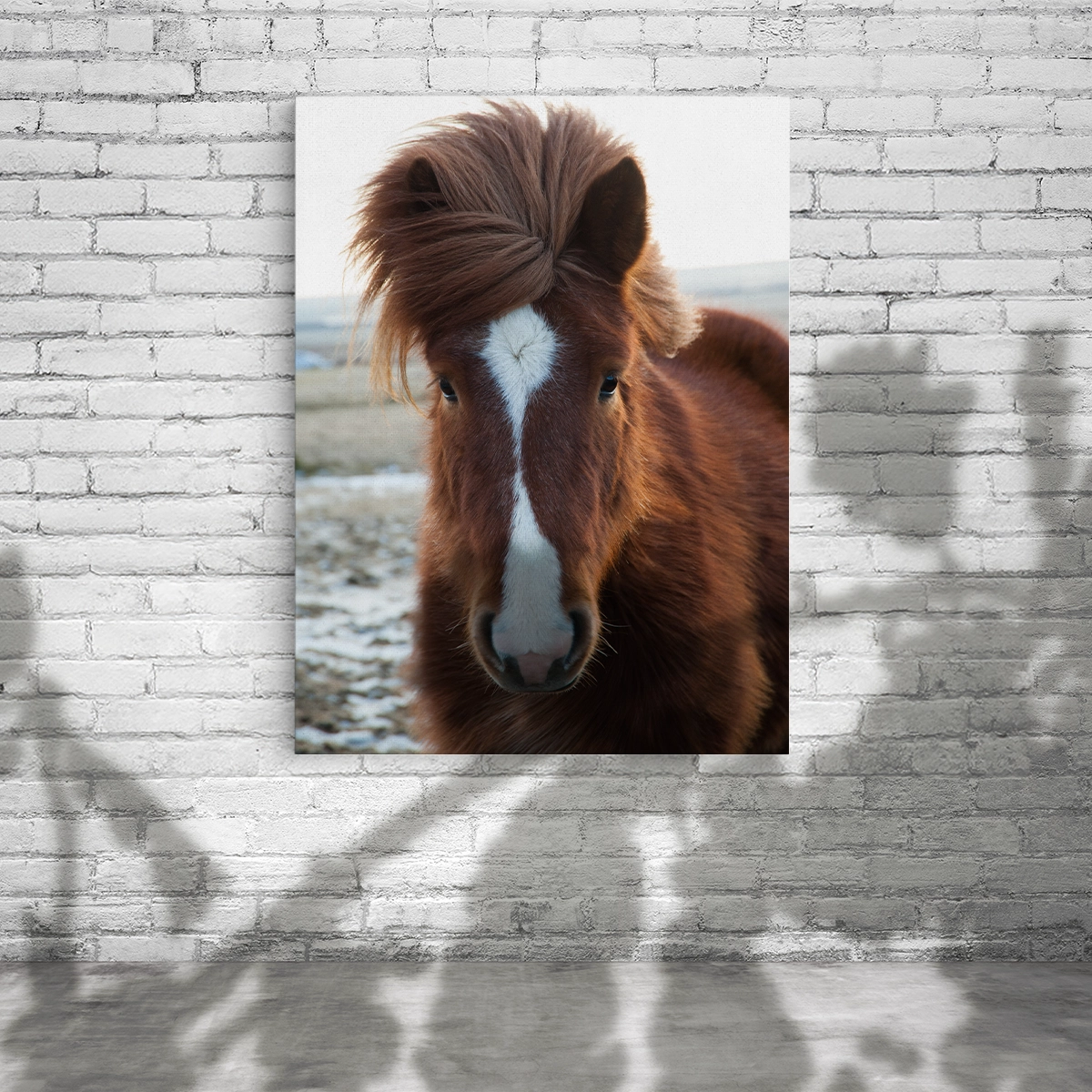 Pferdefotos auf Leinwand im Hochformat