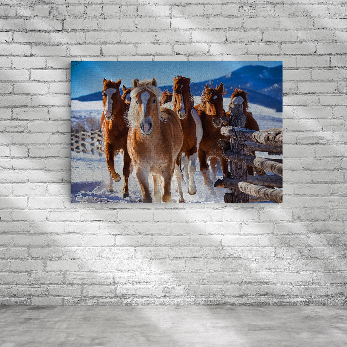 Pferdefotos auf querformatiger Leinwand