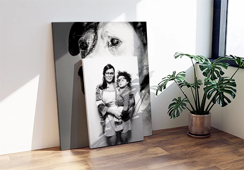 Hundefotos, Familienporträts oder Naturaufnahmen als monochrome Fotos auf Leinwand Die schönsten Fotos der Familie als monochrome Leinwand