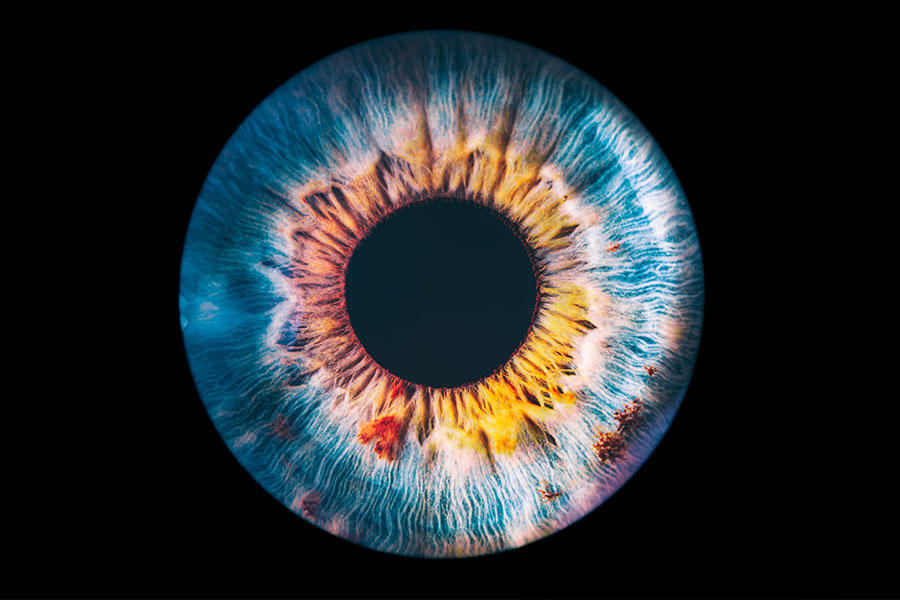 Im Trend - Irisfotografie
