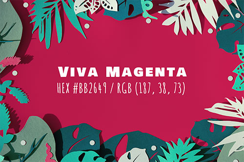 Viva Magenta - Pantone Farbe des Jahres 2023